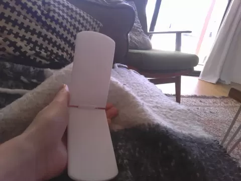 simple flip phone