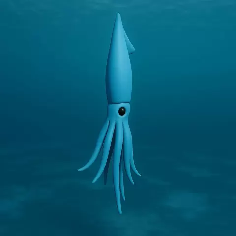 squid - The crazy creator