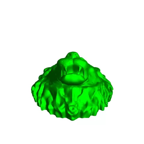 lion - pacaprint