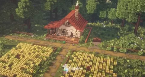 Minecraft Stardew Valley