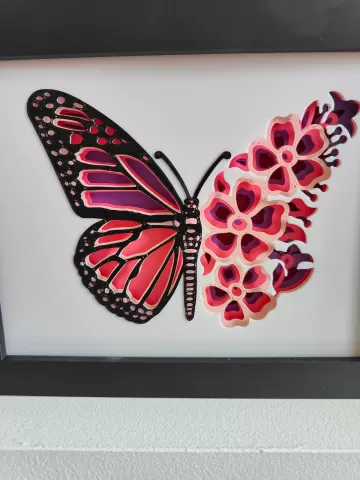 Butterfly Shadow Box