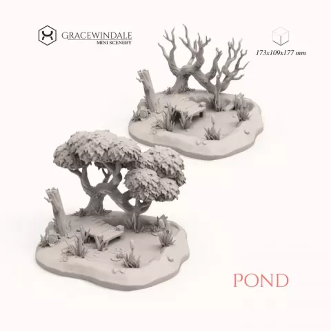 Pond