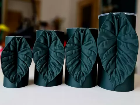 Alocasia Silver Dragon self watering pot