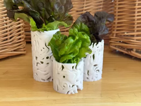 Lactuca Cylinder Vase Large