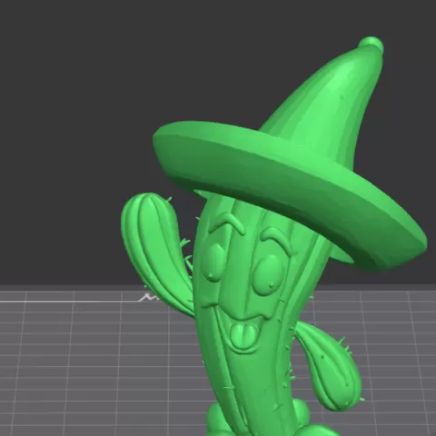 Mexican Cactus
