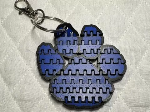 Tigers Paw Flexi Keychain