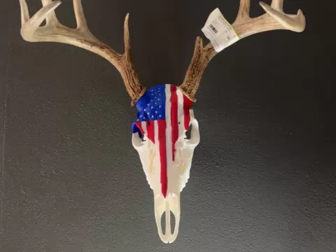 Merica3.0 painted w stars