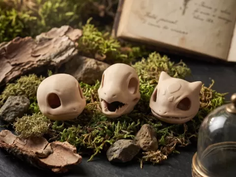Pokémon Skull Set- Charmander, Bulbasaur, Squirtle