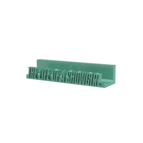 THE LIFE OF A SHOWGIRL TAYLOR SWIFT VINYL STAND