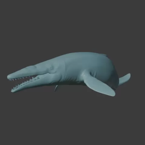 1/60th scale Kekenodon Whale