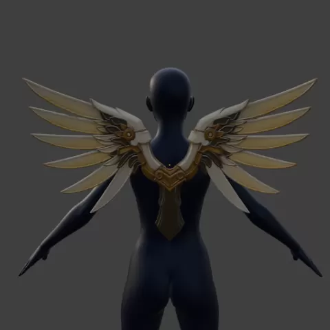 Mercy’s Wings