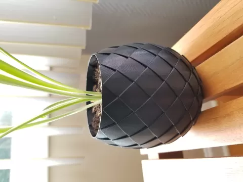 Dragon egg plant pot