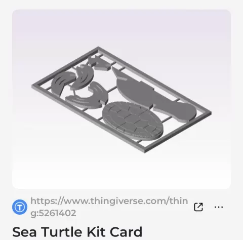 Sea turtle - McNole