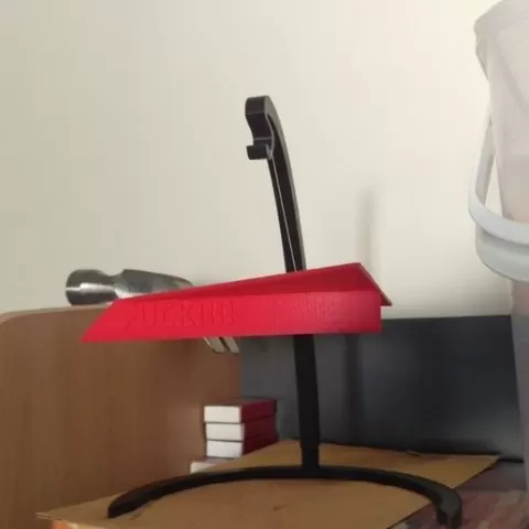 Flying Fuck