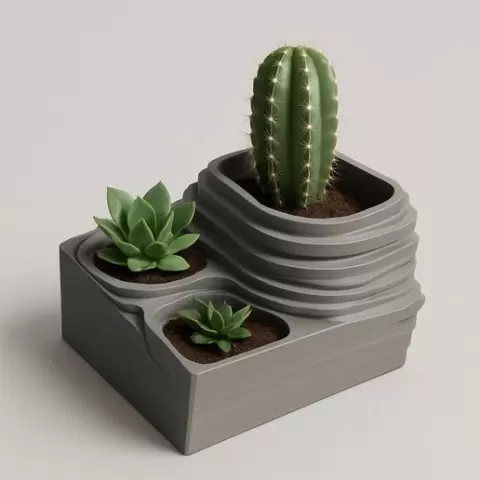 Cactus planter