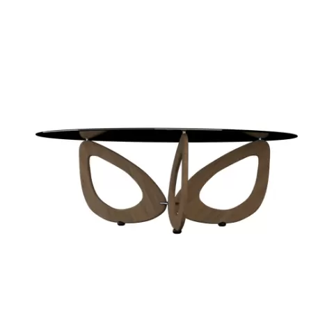 Organic Base Coffee Table