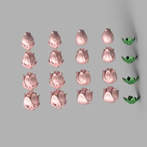 Basic Roses