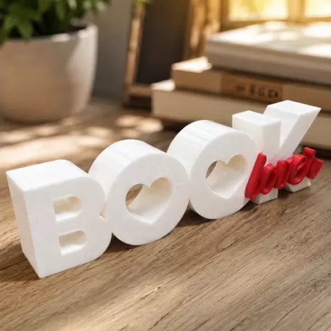BOOK LOVER
