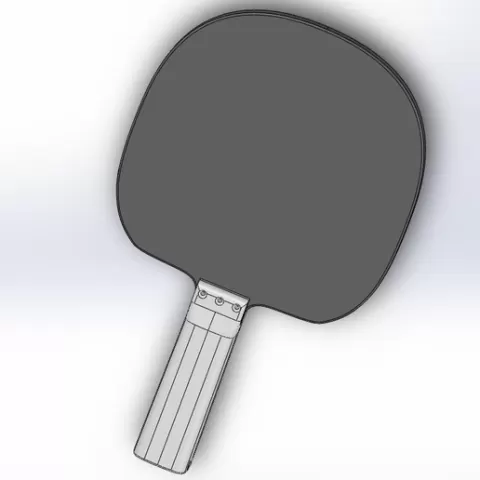 Table Tennis Set