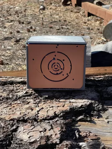BB Capture Target