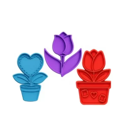 FLORES 3