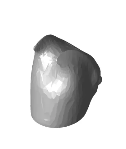 Duup-Wluff presta valve.stl