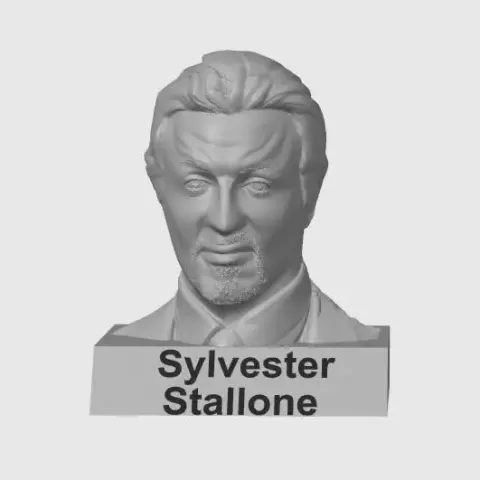 Silvester Stalone - Swotar
