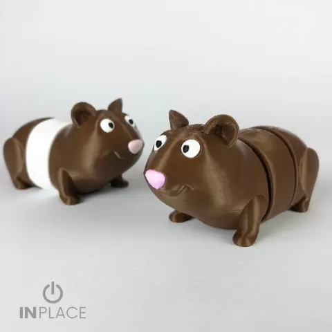 Cute Guinea Pig - Inplace