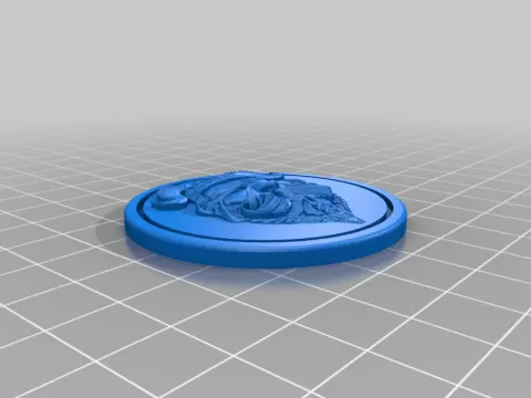 Viking Warrior Coin