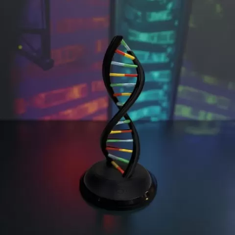 TRL3d DNA Display Model