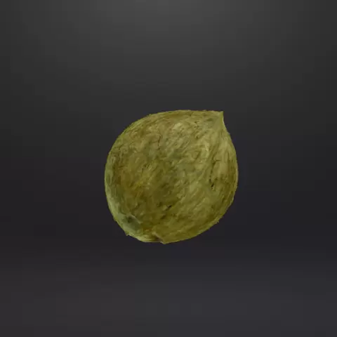 Coconut - Low Poly 3D Model