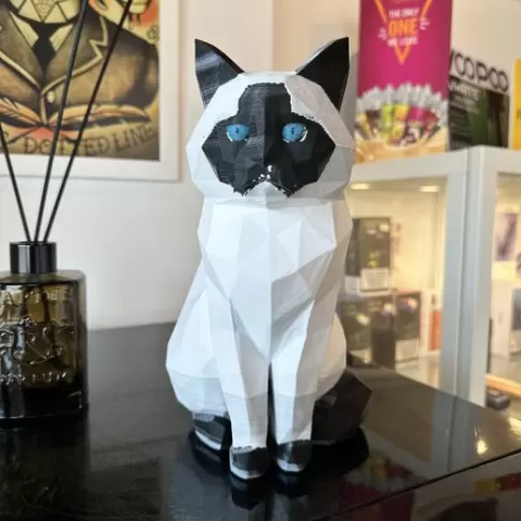 Ragdoll LowPoly