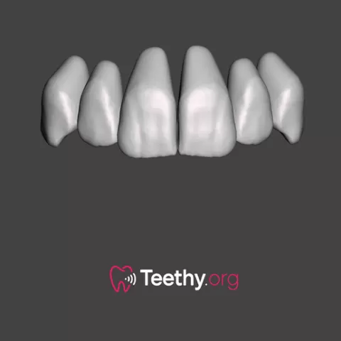 Anterior Teeth