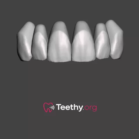 Anterior Teeth