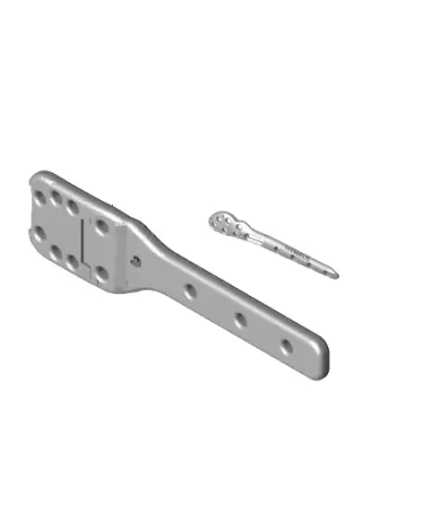 Orthopaedic plates