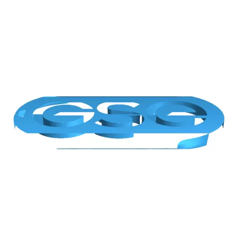 Porte cle GSE