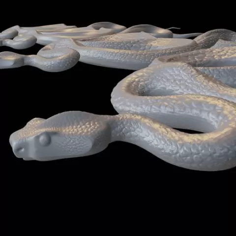 Snake