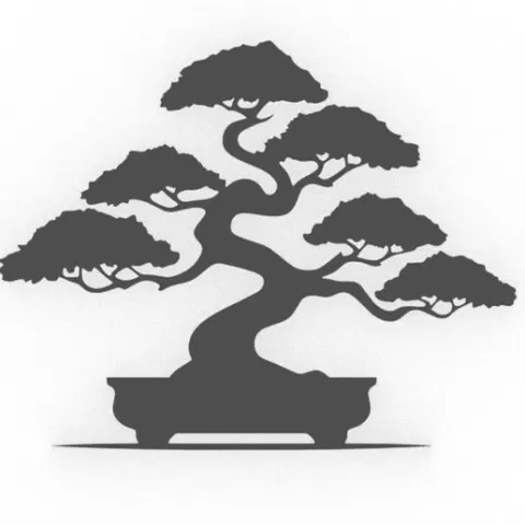 bonsai