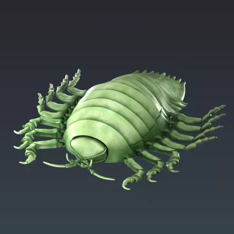 Flexy Giant Isopod