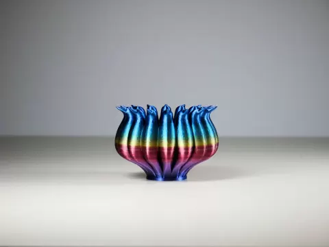 Bird Bowl