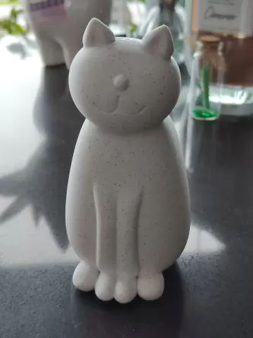 Sitting Cat