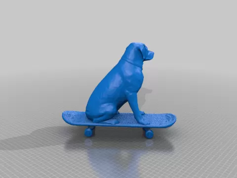 Labrador on a skateboard