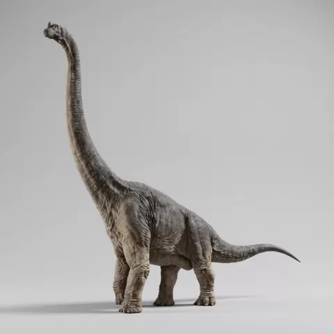 Dinosaur Art - Brachiosaurus