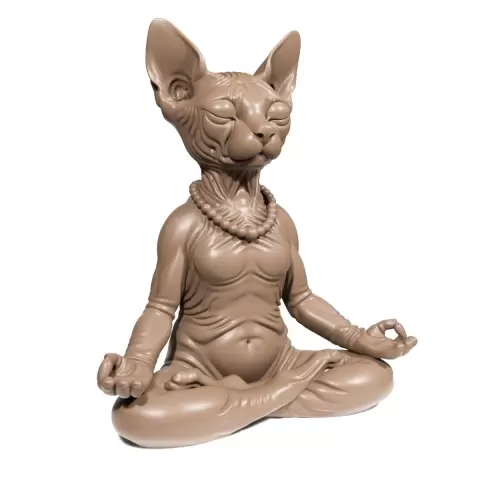 Yoga Cat - 3D Everything