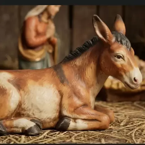 donkey - Artesbtm