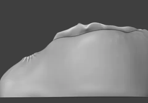 Anatomical 3D Model of a Realistic Female Vagina - STL for 3D Printing