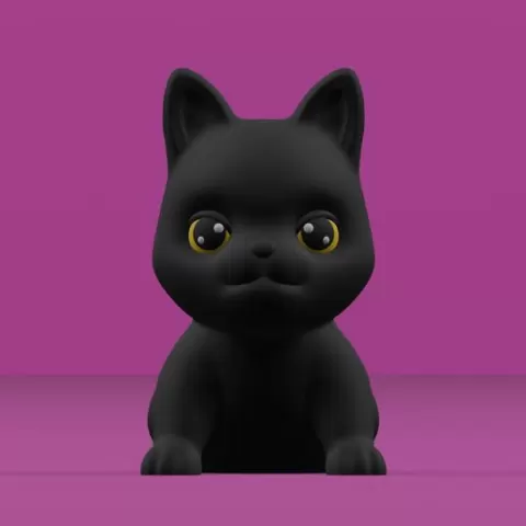 black cat