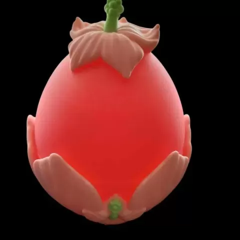 Hibiscus Egg - The Dragons Den