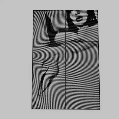 WALL ART - PUSSY