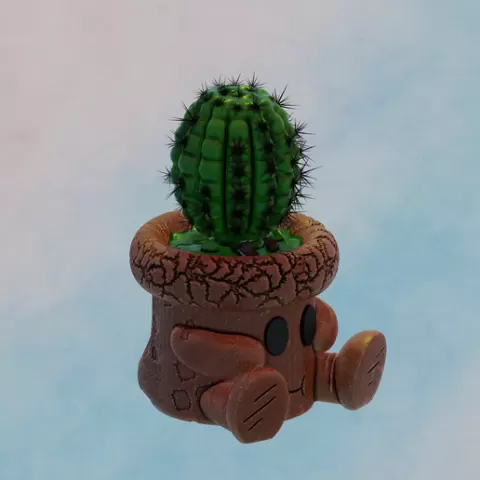 cactus pot
